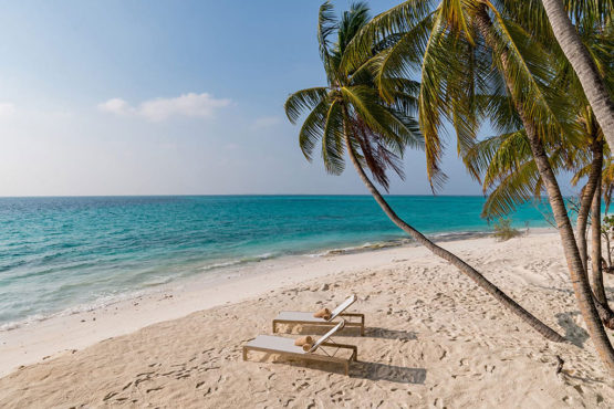 Beach - Fiyavalhu Resort Maldives