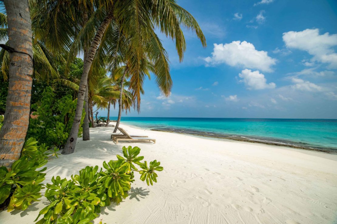 Beach - Fiyavalhu Resort Maldives