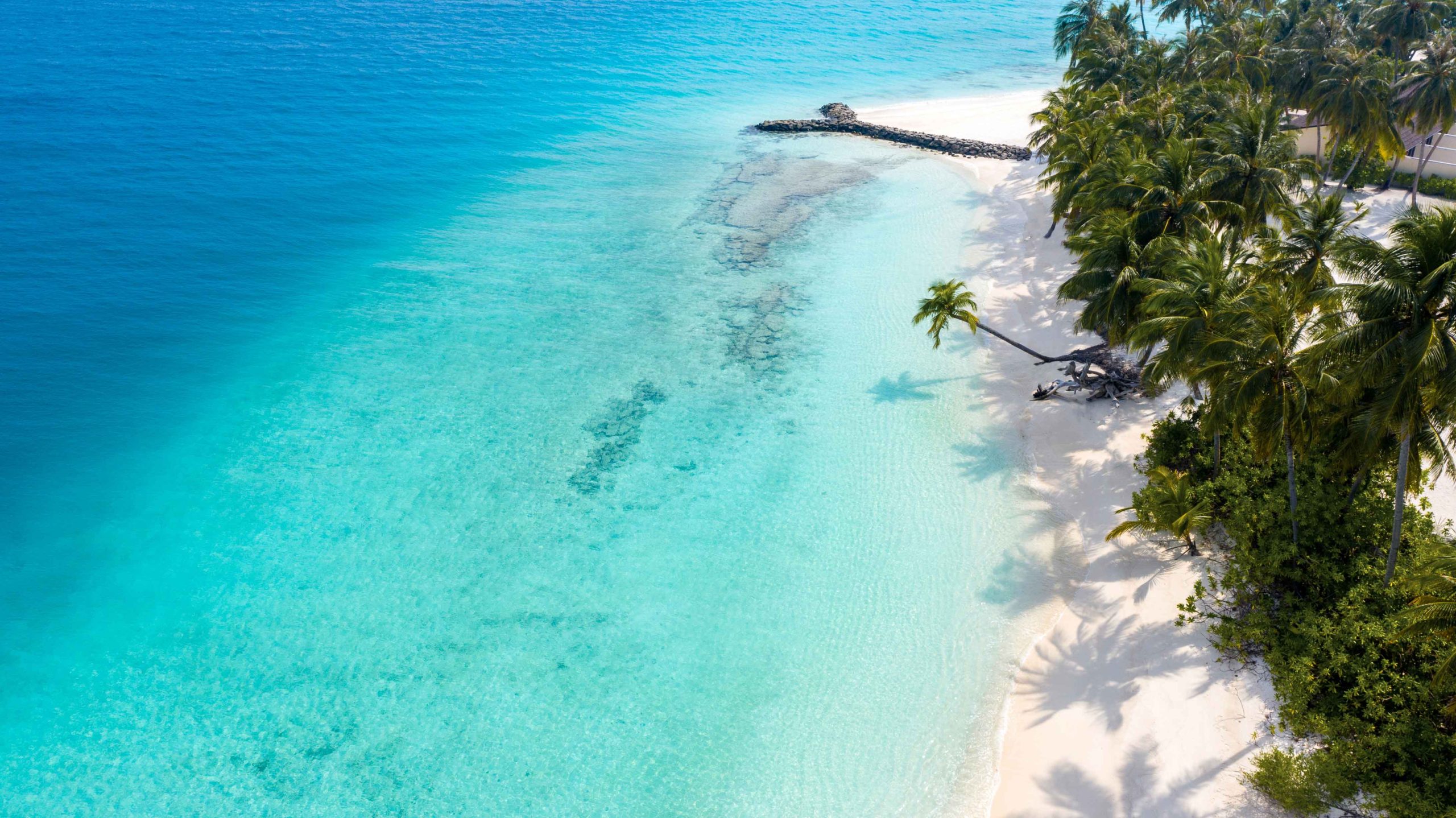 Beach - Aerial View - Fiyavalhu Resort Maldives