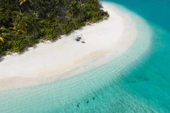 Beach - Fiyavalhu Resort Maldives