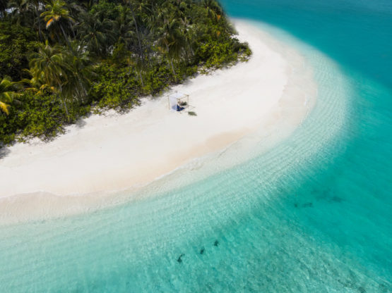 Beach - Fiyavalhu Resort Maldives